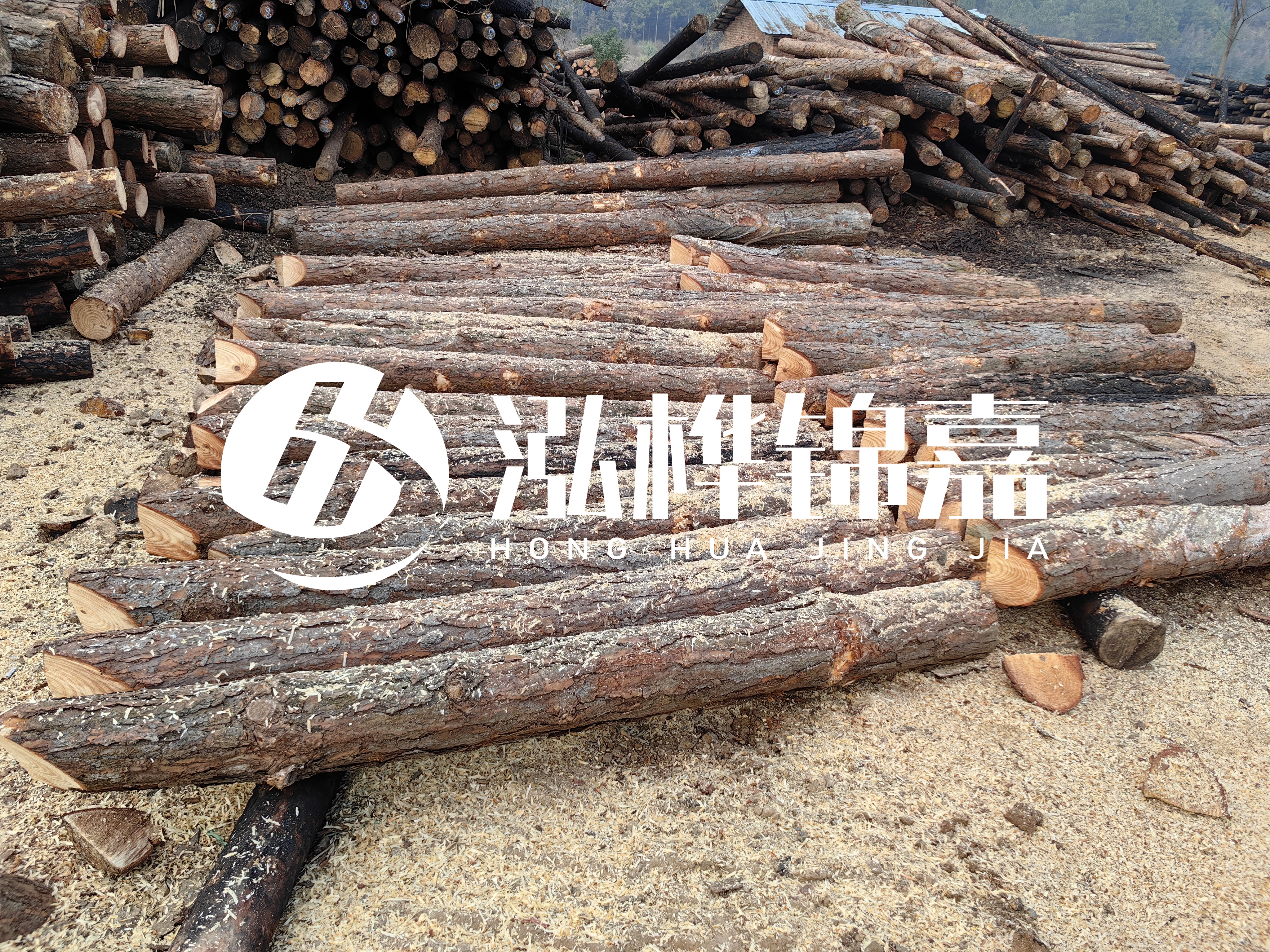 河道打樁木重復(fù)利用嗎？