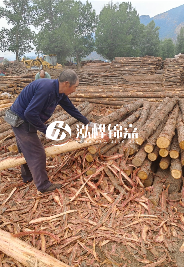 東營河道清淤專業(yè)施工隊(duì)-不同型號挖機(jī)清淤能力對比？