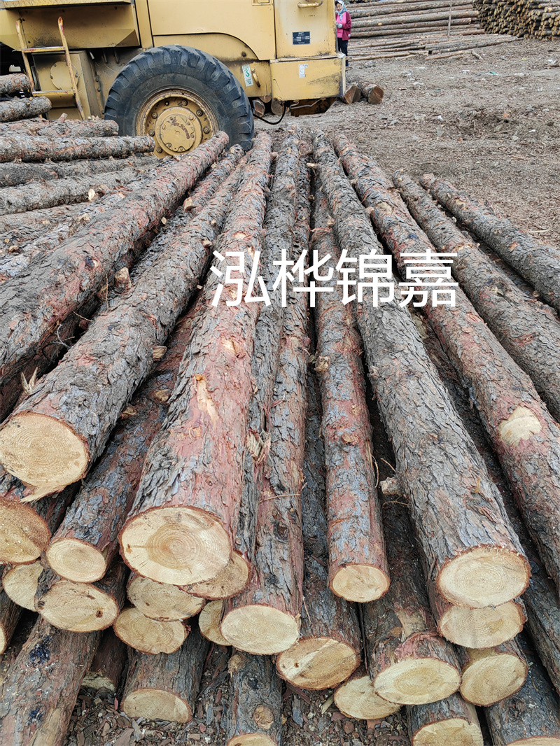 松木樁的評定標準有哪些
