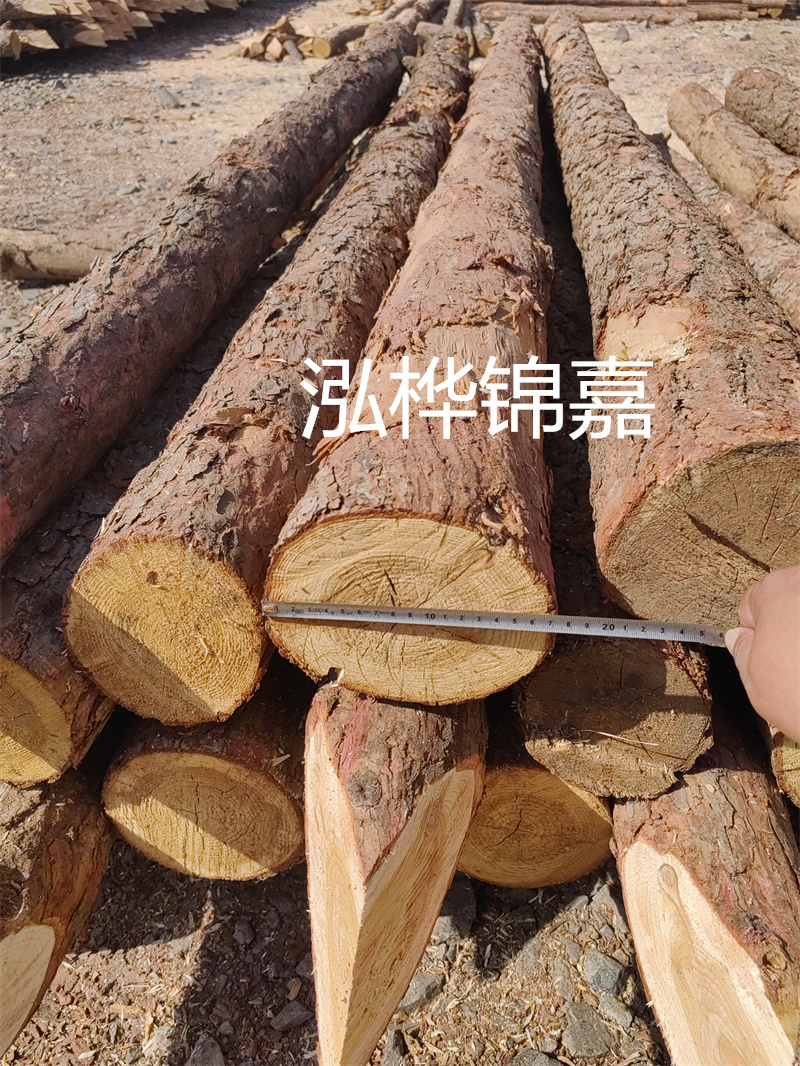 福建哪里買松木樁？